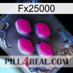 Fx25000 02